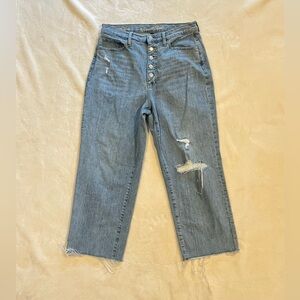 Universal Thread Vintage Straight Jeans